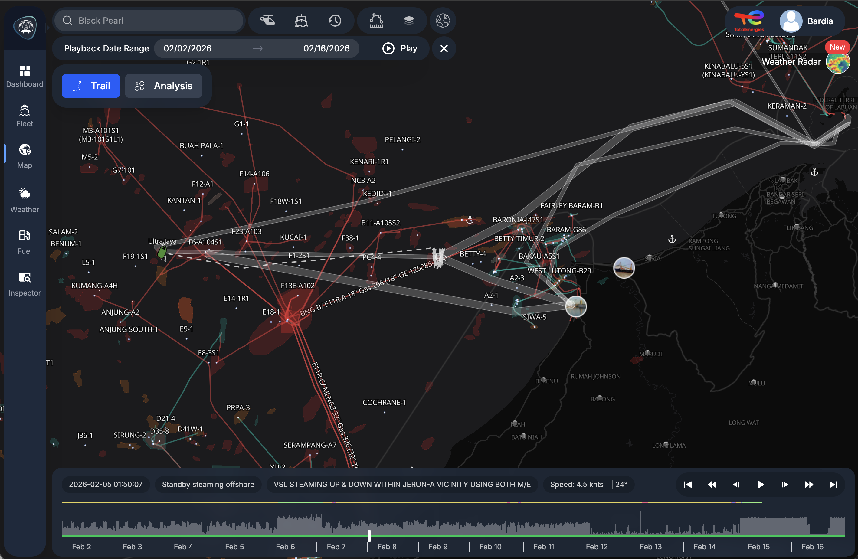 FIS vessel playback interface showing historical voyage trails and timeline